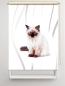 Preview: Rollo Majesti vertic  Katzenbaby, Rollo, Motivrollo, Rollo mit Druck, Fotorollo, bedrucktes Rollo, Fensterrollo,verdunkelndes Rollo, Sonnenschutz Rollo